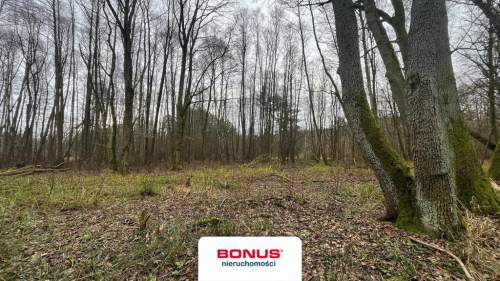 Działka na turystykę z dostępem do rzeki Płonia