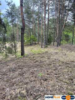 Działka w lesie 2064 m - letniskowa i całoroczna