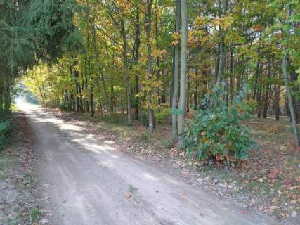 Działka rekreacyjna na sprzedaż, 300 m2, Koniecpol