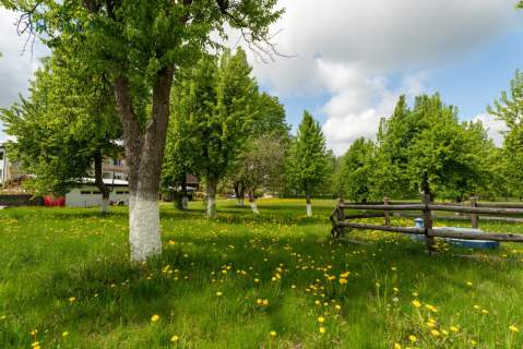 INWESTYCJA NAD JEZIOREM, LINIA BRZEGOWA