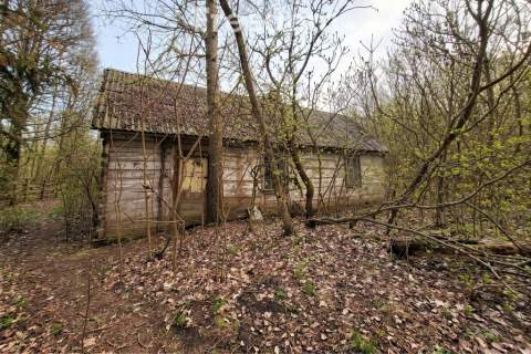 Klimatyczna działka z prywatnym lasem, Miłocin, 78