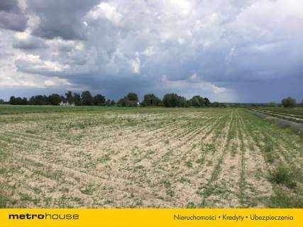 Działka rolna na sprzedaż, 18100 m2, Jamno