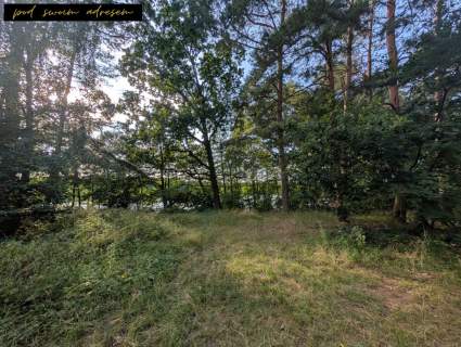 Działki nad jeziorem Spokój, natura i własność