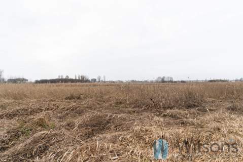 Falenty Nowe działka 6,5hektara pod Warszawą