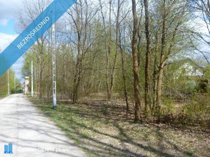Nowa Wieś 10153 m2 miedzy Pruszkowem i Komorowem
