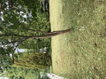 Rekreacyjna ROD w centrum Buałegostoku 298m2