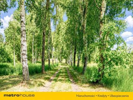 Nieruchomość komercyjna na sprzedaż, 307,04 m2, Lipa