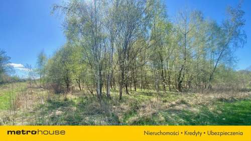 Działka rolna na sprzedaż, 5000 m2, Czułów