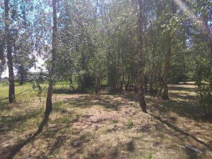 Duża działka w otulinie Kampinosu, Dąbrowa , gm. Łomianki