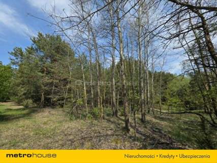 Działka na sprzedaż, 5600 m2, Rogacze