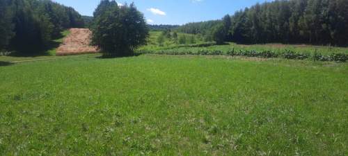 Działka budowlana na sprzedaż, 2000 m2, Grabno