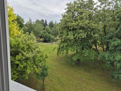 Oferta wynajmu mieszkania 2-pokojowego - Kalisz, ul. Dobrzecka