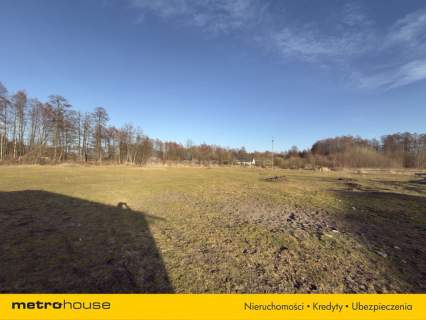 Działki o pow. 11645m2 pod zabudowę jednorodzinną.