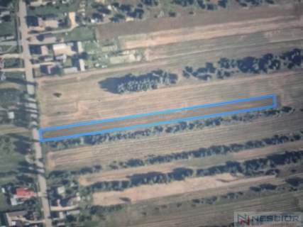Działka rolna 5800 m2 -Dąbrowa, gm Mrozy