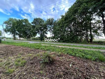 Nowe Hołowczyce 2 działki pod zabudowę i 2 leśne