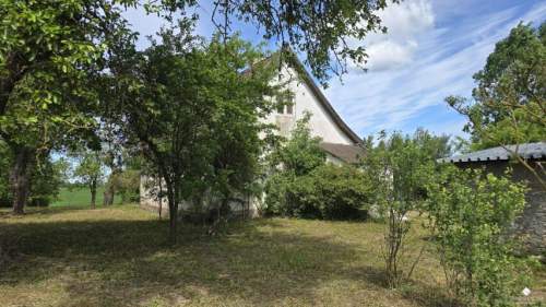 Siedlisko bez sąsiadów 4400 m2 prywatności Stary sad i wę