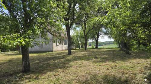 Siedlisko bez sąsiadów 4400 m2 prywatności Stary sad i wę