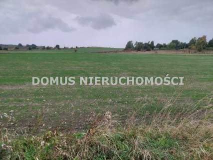 Działka w Tworzyjankach