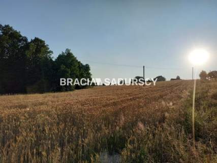 Działka rolna z drewnianym domem Nowa Wieś