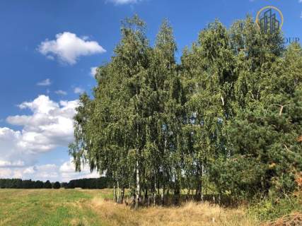 Działka z domem drewnianym