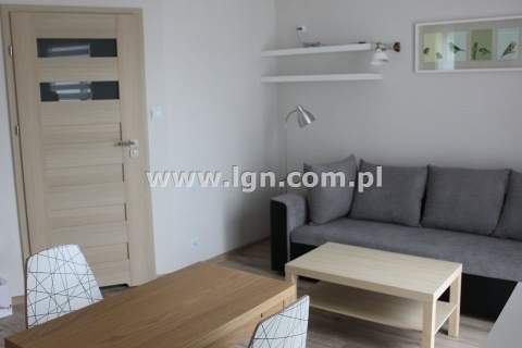 Mieszkanie do wynajęcia, 22,8 m2, Lublin