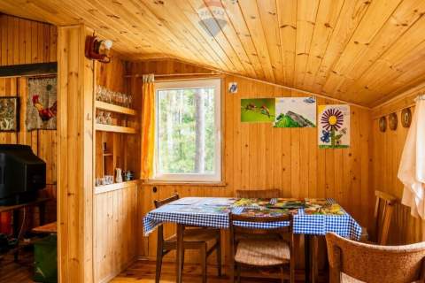 Leśna działka 2100 m z domkiem Radziejowice