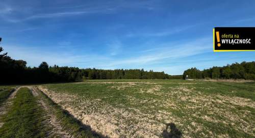 1,67 ha gruntu w cenie 40 000 zł