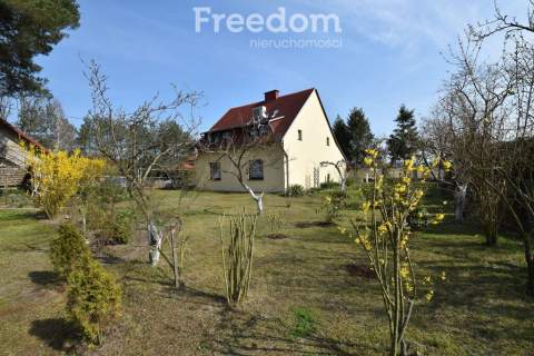 Działka 53 980 m2, 2 domy b.gospodarczy,staw, las