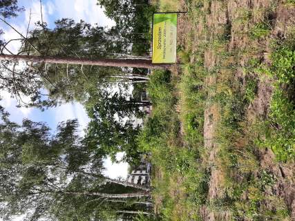 Działka budowlana Rusiec 2000m2