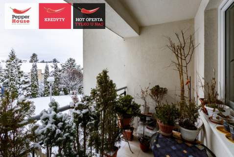 Komfortowe 3-pokojowe mieszkanie Balkon Piwnica