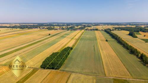 Działka Zamoście-Kolonia