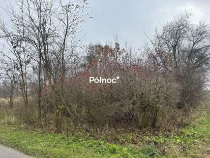 Działki rolne w okazyjnej cenie Tymin