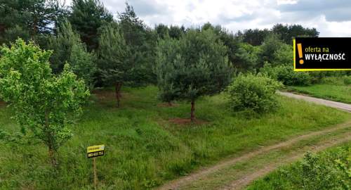 Działka w Życinach przy jeziorze pod domek