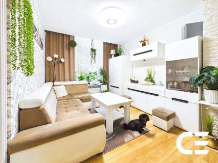 Mieszkanie w centrum 41 m -51 m Wysoki parter