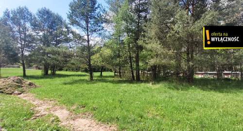 Działka 2000 m   Suchedniów