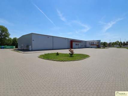 Do wynajęcia Hala z pomieszczeniami biurowymi 1600m2 400m2 w...