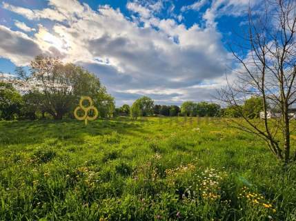 Sosnowiec / Śrem - duża działka - MPZP