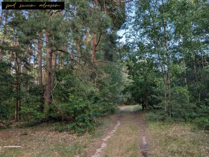 Działki nad jeziorem Spokój, natura i własność