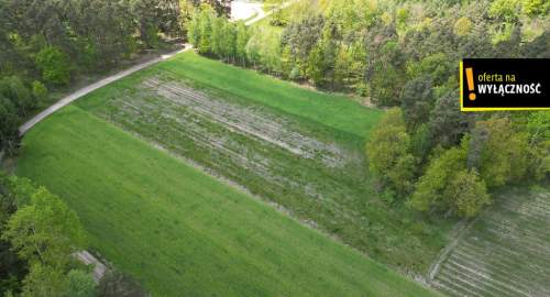 DZIAŁKA ROLNA ŚWIDNO GM. KRASOCIN 3992 M2