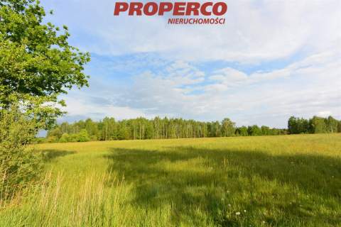 Działki o pow. 11800 m2, Kucębów Dolny, gm. Bliżyn