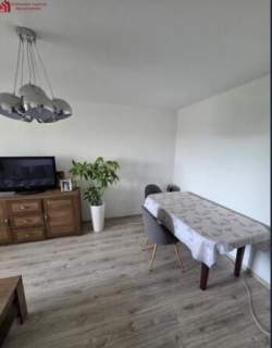 2 pokoje zielona okolica