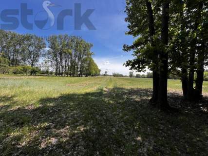 Działka rolna 6,5 ha - grunty orne Arkadia ok Nieborowa 0 % prowizji
