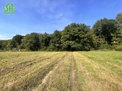Działka budowlana na sprzedaż, 1954 m2, Dybawka