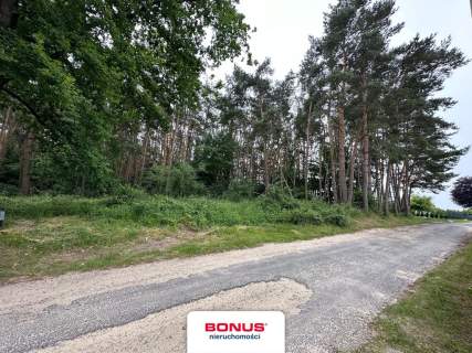 Działka leśna w Szczecinie
