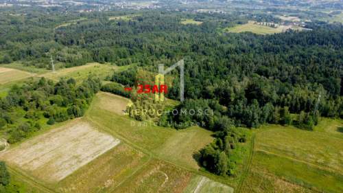 KOMPLEKS DWÓCH DZIAŁEK ROLNO - LEŚNYCH, HARKLOWA, GM. SKOŁYSZYN