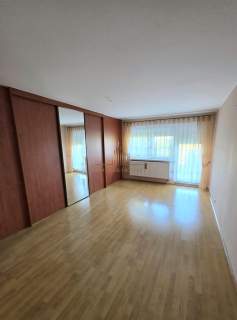 DomWyjatkowyDlaRodziny,DużyOgród,Brzoza
