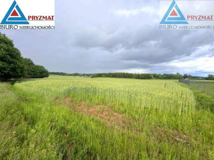 SPRZEDAM DZIAŁKĘ - GADY