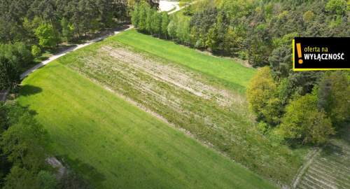DZIAŁKA ROLNA ŚWIDNO GM. KRASOCIN 3992 M2