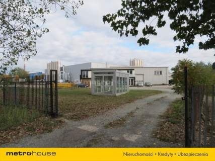 Sprzedam Teren Przemysłowy 6596m2 Hala 600m2 Kutno