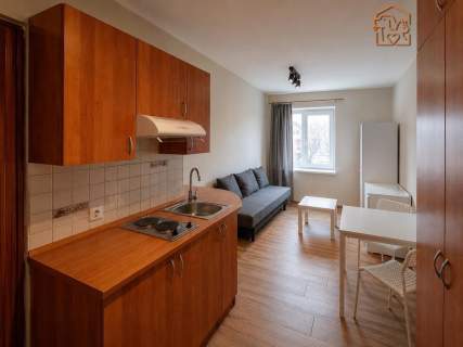 Zbigniewa 2, przyjazne zwierzętom studio